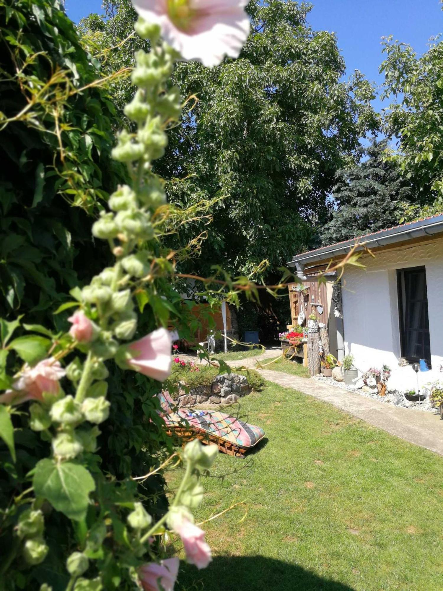 Bungalow Bei Warnemuende Elmenhorst/Lichtenhagen Ngoại thất bức ảnh